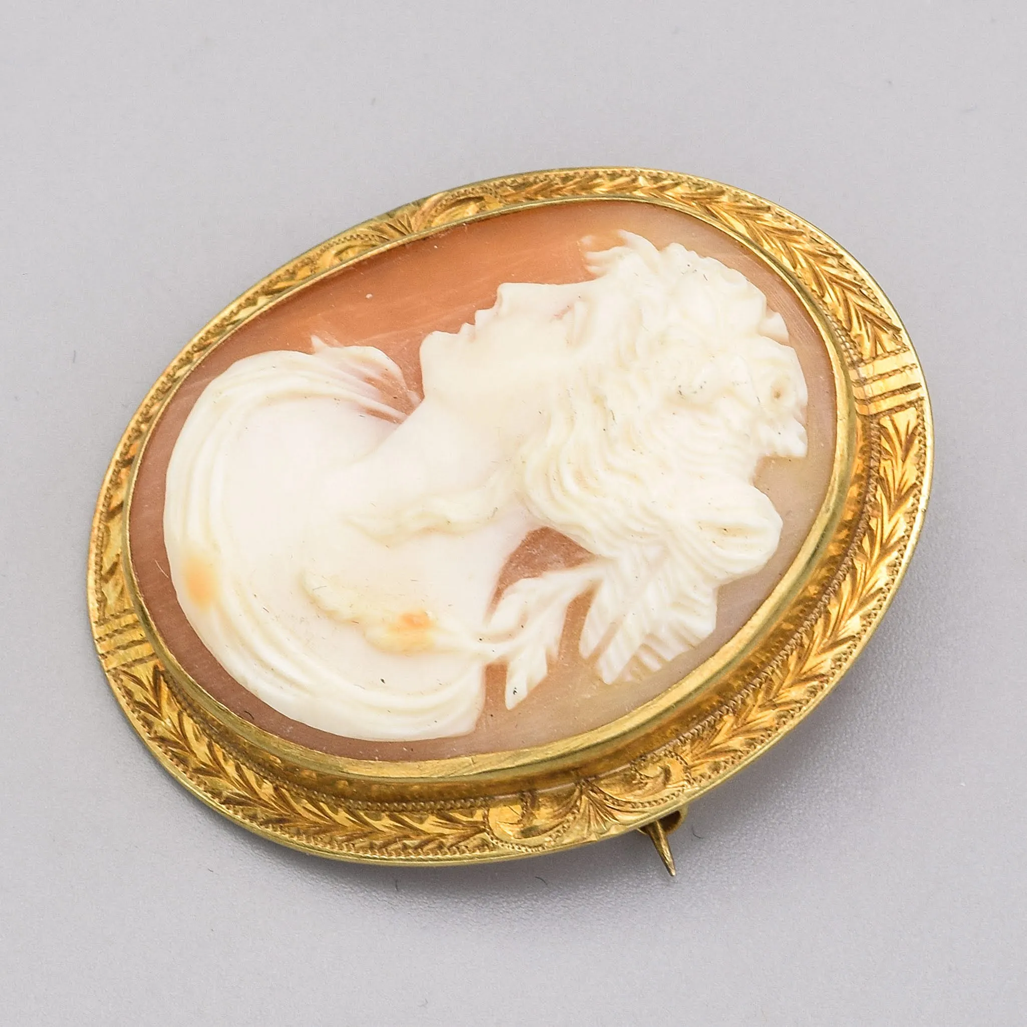 Antique 14K Yellow Gold Etched Oval Cameo Brooch Pin