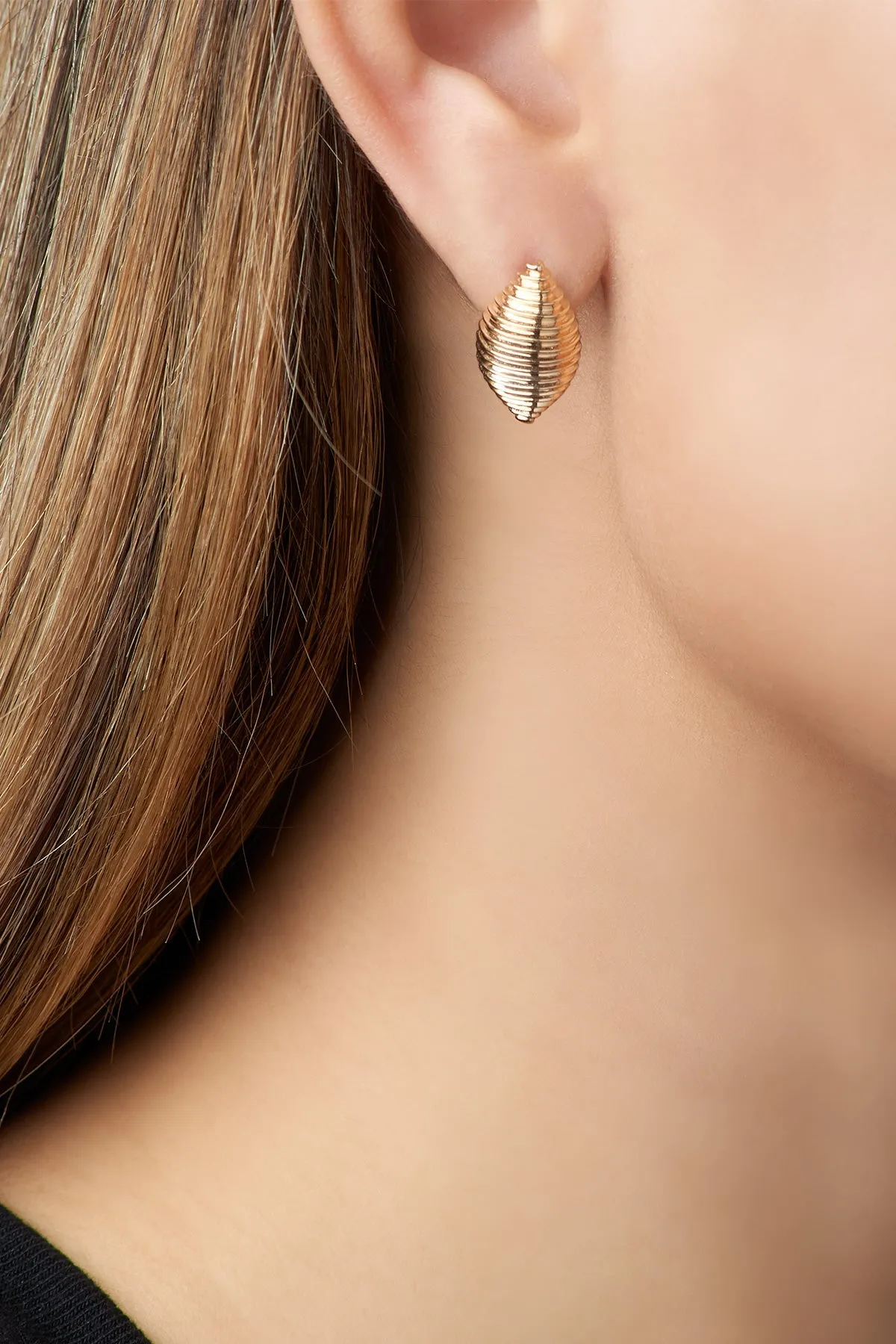 Large Shell Earrings - In Stock